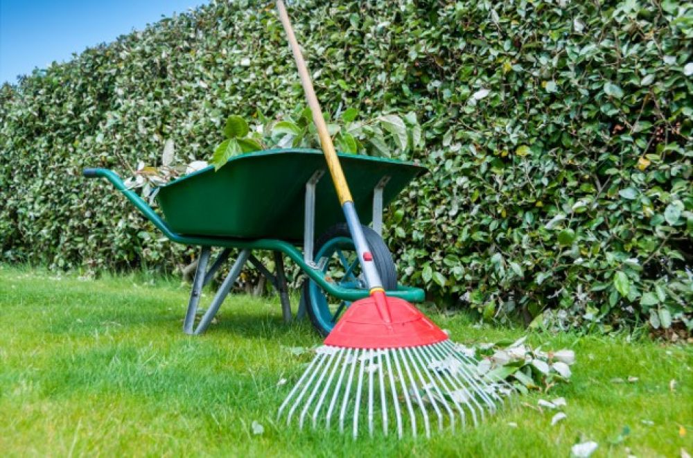 AREA SFALCI CIMITERO